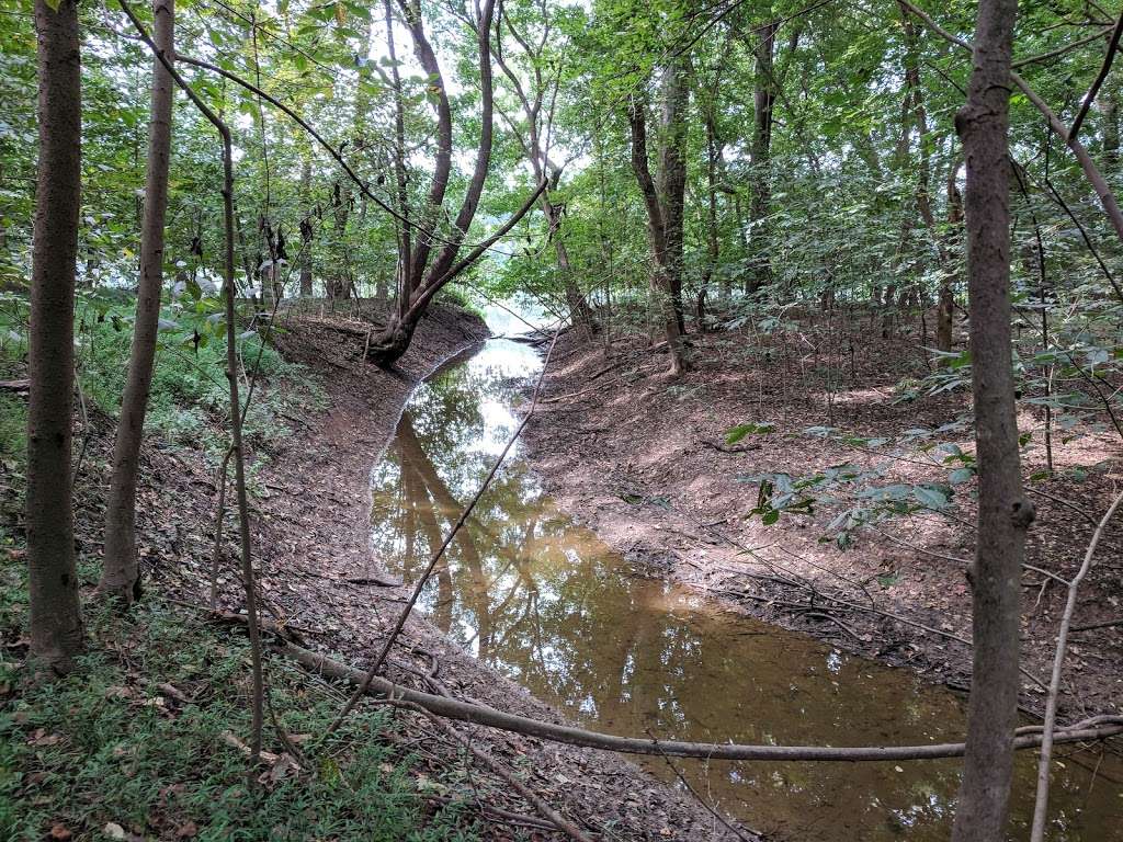 River Trail, C&O Canal NHP | 10, Potomac, MD 20854, USA