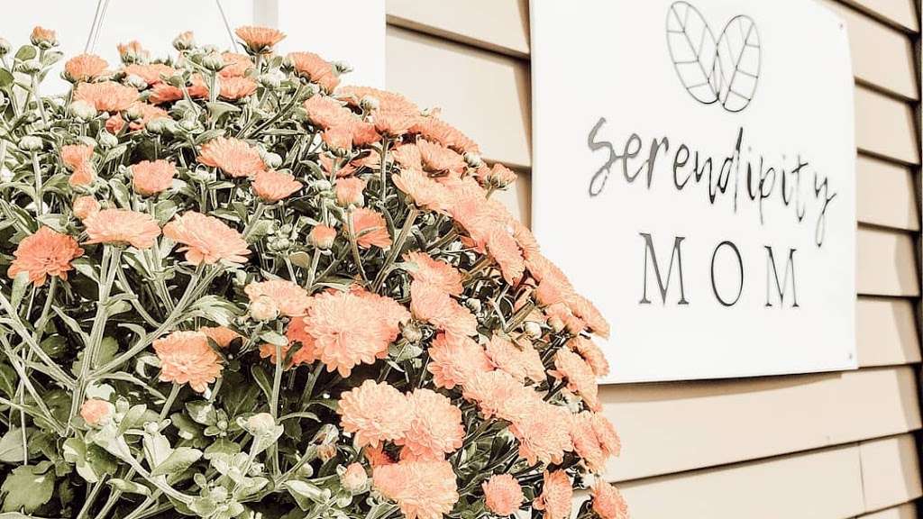 Serendipity Mom | 2469 Lititz Pike Suite D, Lancaster, PA 17601, USA | Phone: (717) 617-6221