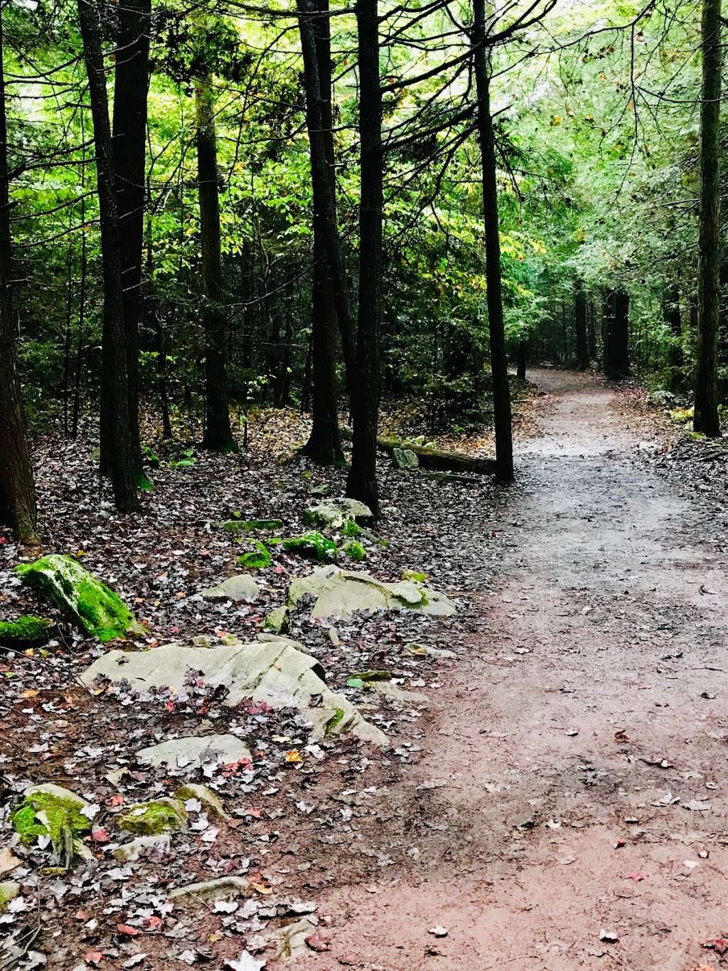 Falls Trail | Ricketts Glen Falls Trail, Benton, PA 17814, USA