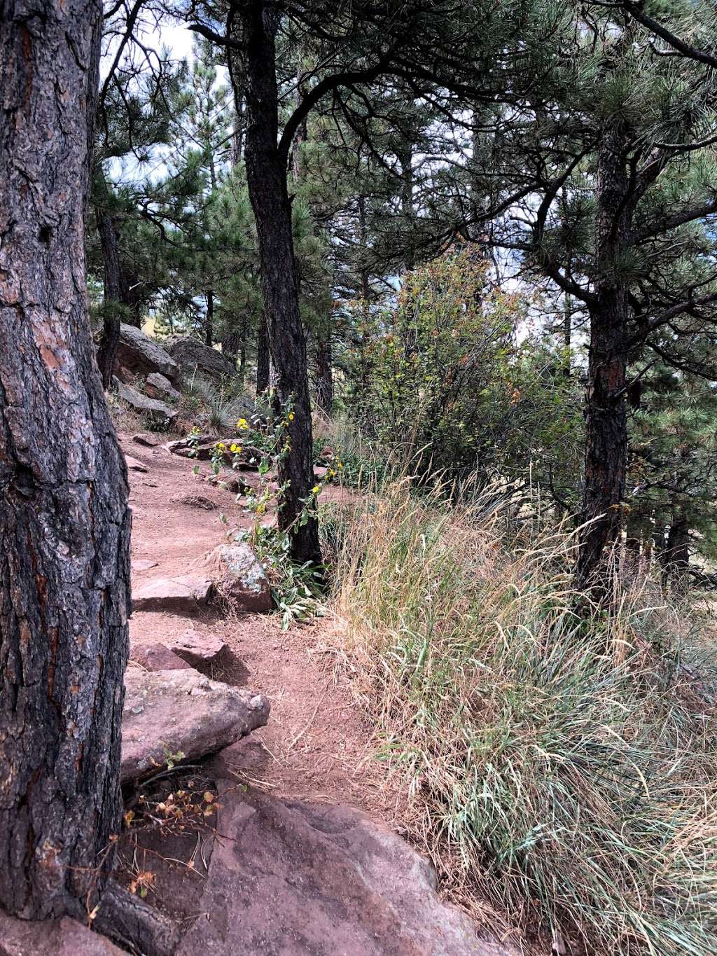 Panorama Point | Flagstaff Rd, Boulder, CO 80302, USA | Phone: (303) 441-3440