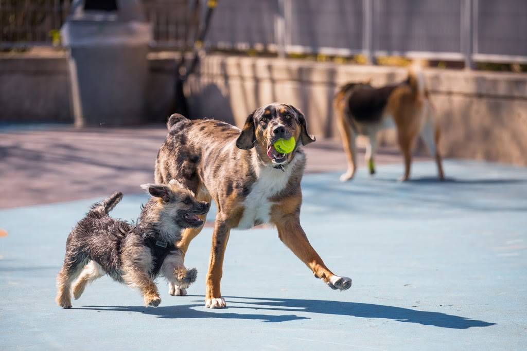 Leroy Street Dog Park | 2, 353 West St, New York, NY 10014 | Phone: (212) 627-2020