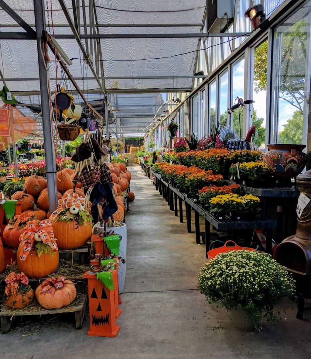 Calloways Nursery | 1424 N Center St, Arlington, TX 76011, USA | Phone: (817) 861-1195