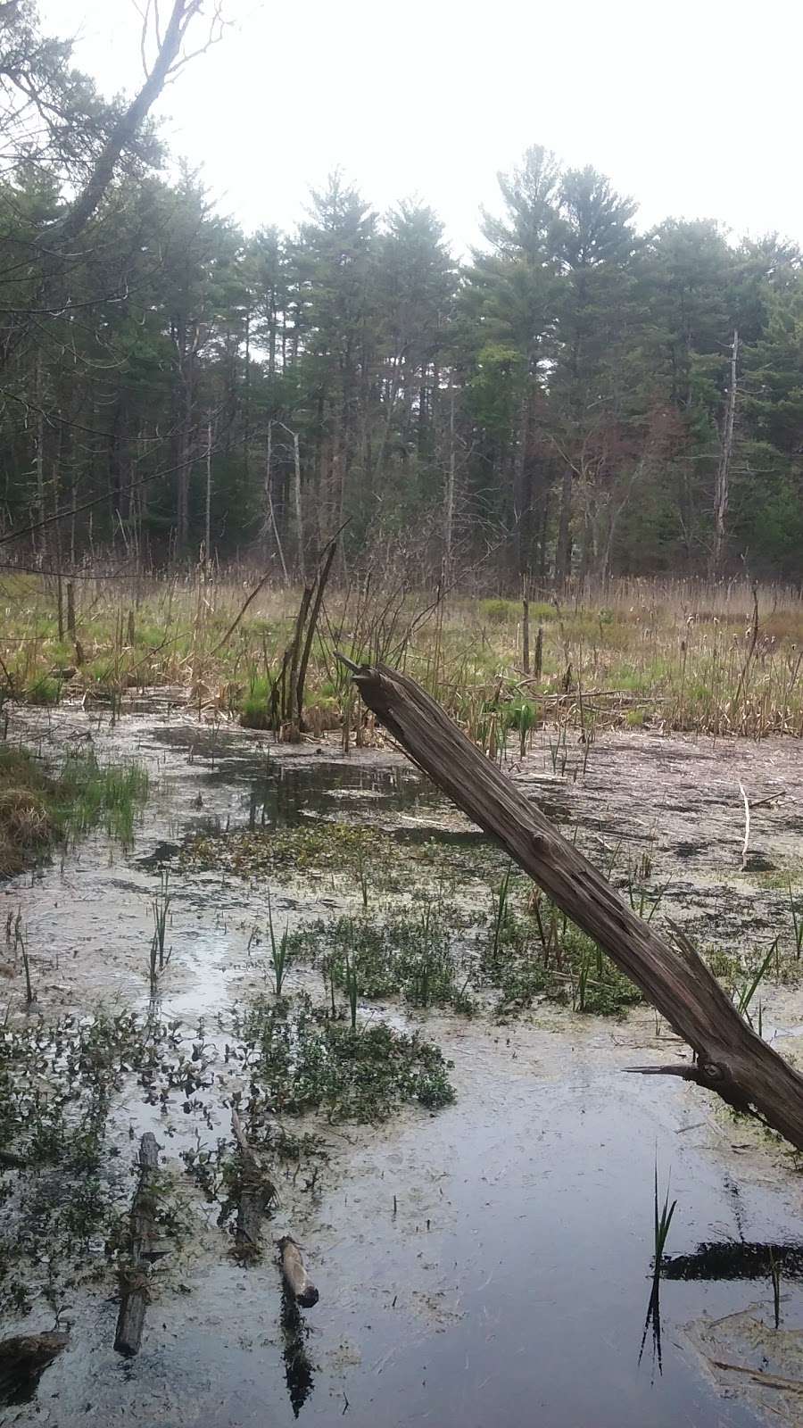 Boy Scout Park | Boxford, MA 01921, USA