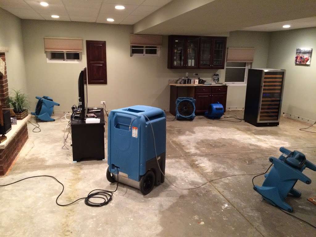 Bewise Master Cleaning & Restoration | 424 Fort Hill Dr #114, Naperville, IL 60540 | Phone: (630) 835-4086