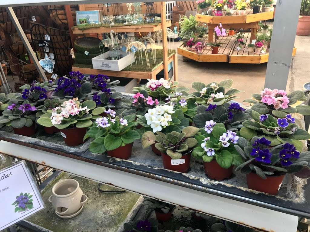 Cedar Grove Garden Center | 1201 Pompton Ave, Cedar Grove, NJ 07009, USA | Phone: (973) 256-1950