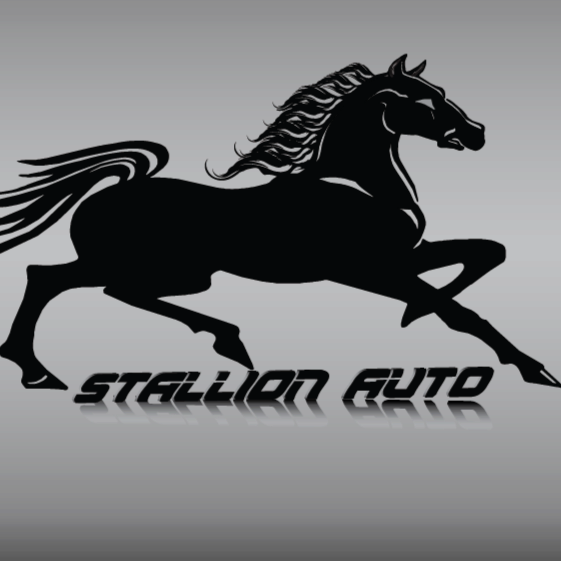 Black Stallion Auto Sales And Leasing | 7804 Lankershim Blvd, North Hollywood, CA 91605, USA | Phone: (818) 548-7777