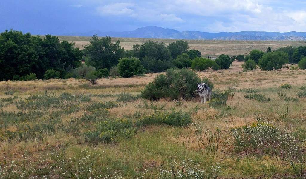 Chatfield Dog Park | Littleton, CO 80125 | Phone: (303) 791-7275