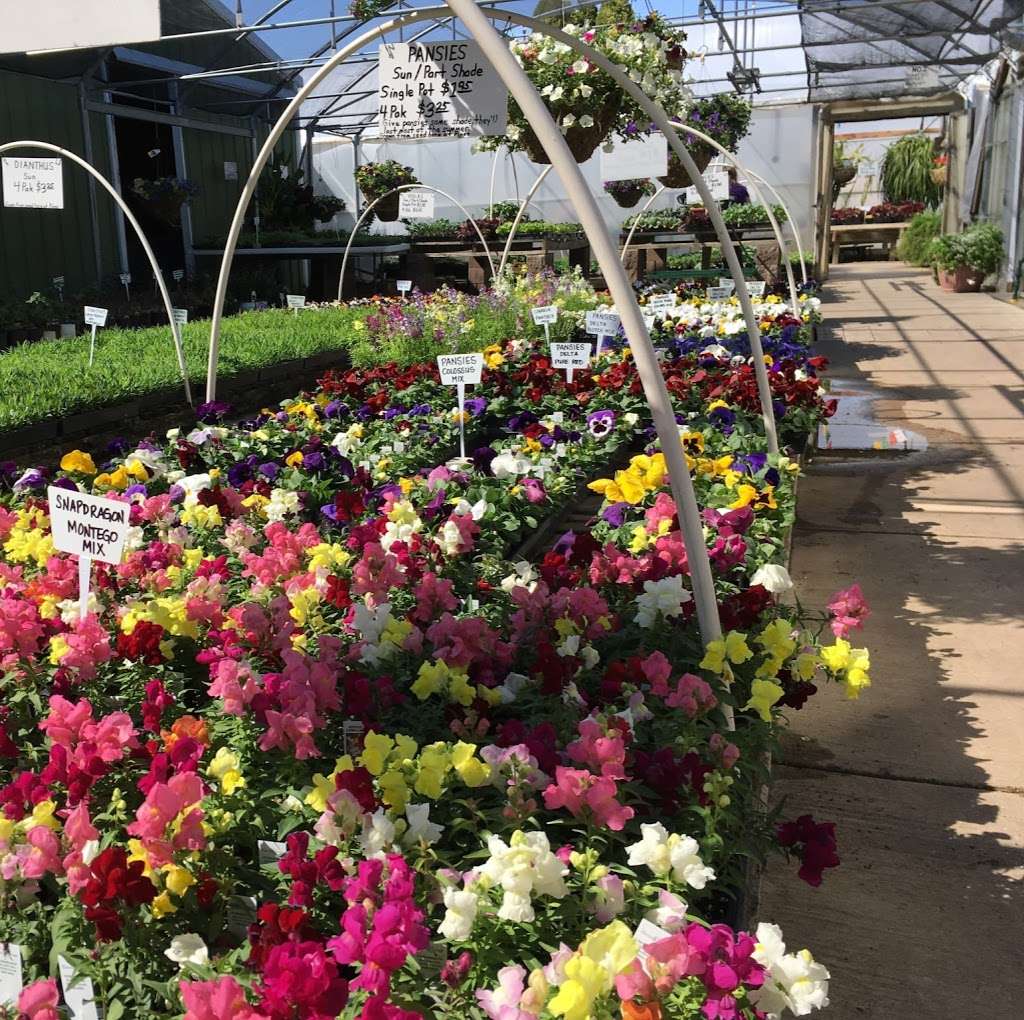 Howard Pines Garden Center | 9106, 1320, N 3rd St, Lawrence, KS 66044, USA | Phone: (785) 749-0302