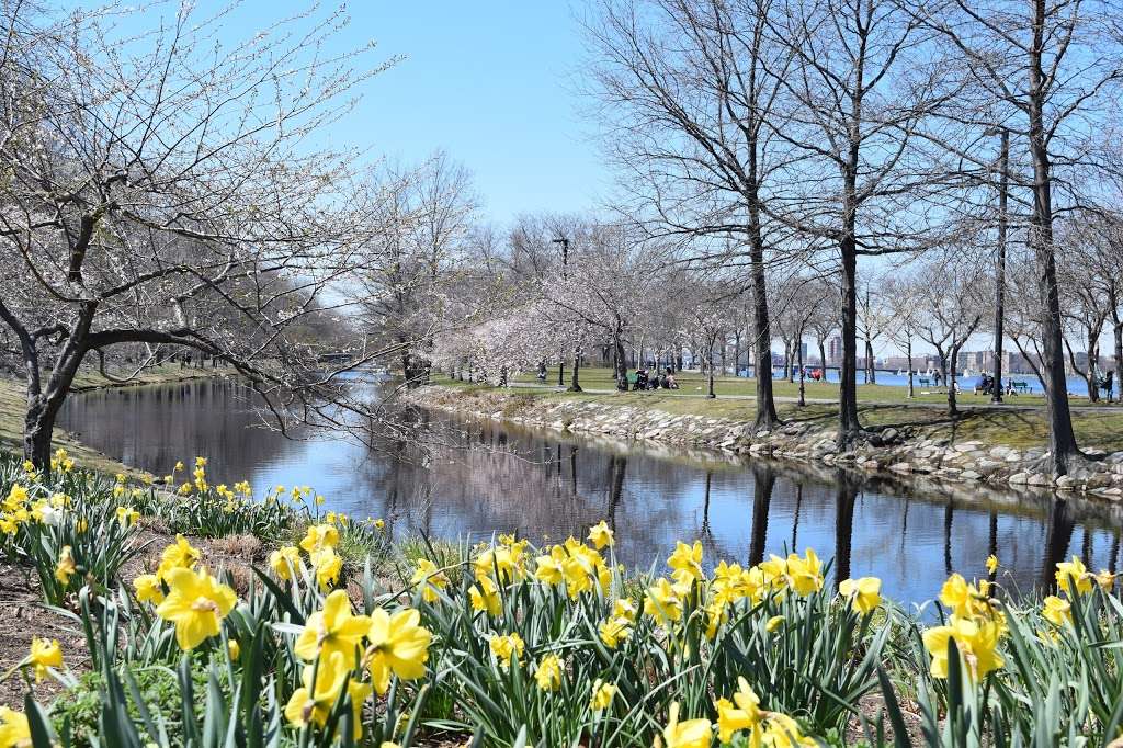 The Esplanade | Boston, MA 02114, USA