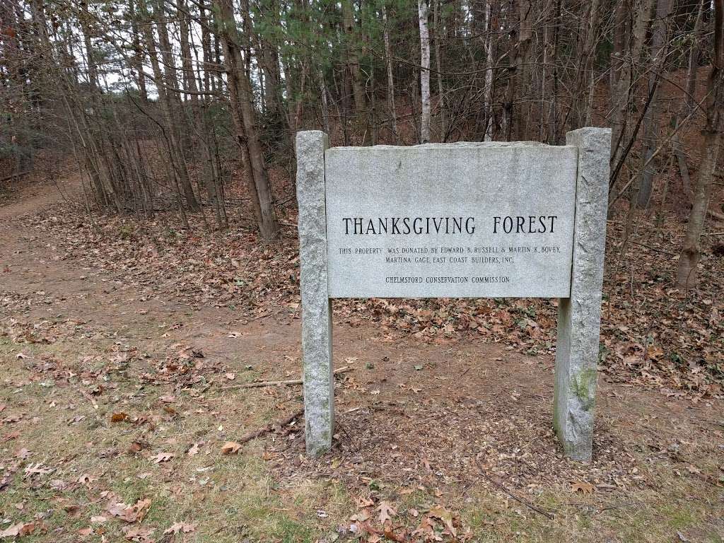 Thanksgiving Forest Reservation | 38-50 Janet Rd, Chelmsford, MA 01824, USA