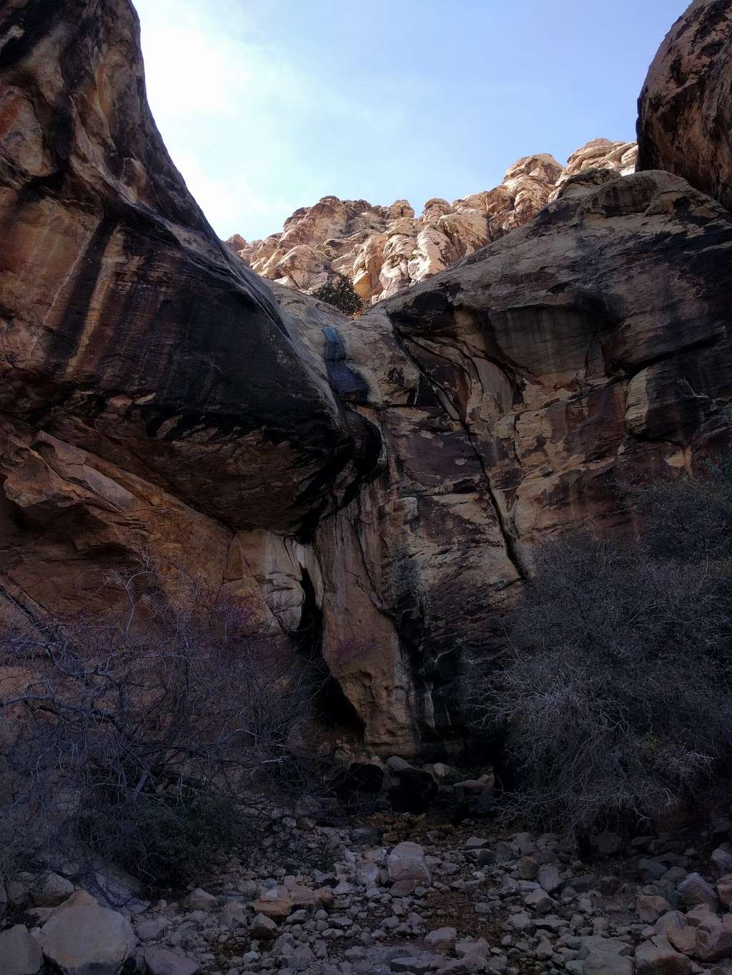 Lost Creek Canyon | Childrens Discovery Trail, Las Vegas, NV 89161, USA | Phone: (702) 515-5350