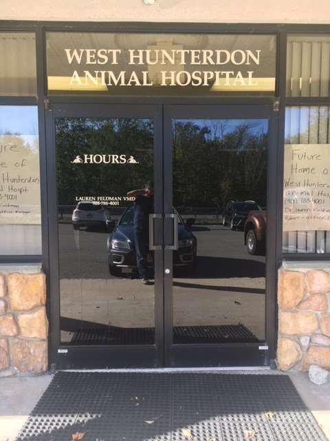 West Hunterdon Animal Hospital | 631 NJ-12, Flemington, NJ 08822, USA | Phone: (908) 788-4001
