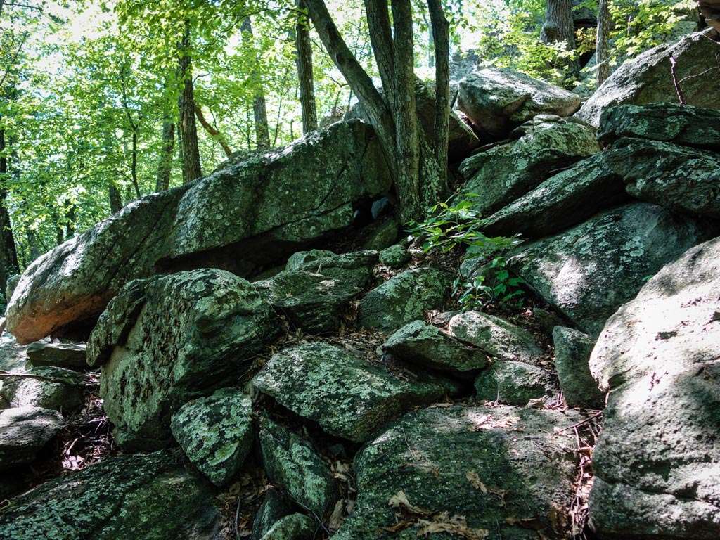 Rocky Ridge | Appalachian Trail, Boiling Springs, PA 17007, USA