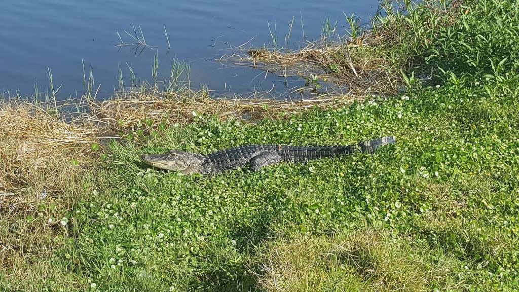 Bonny Shores Mobile Home Park | 164 Bonny Shores Dr, Lakeland, FL 33801, USA | Phone: (863) 665-0640