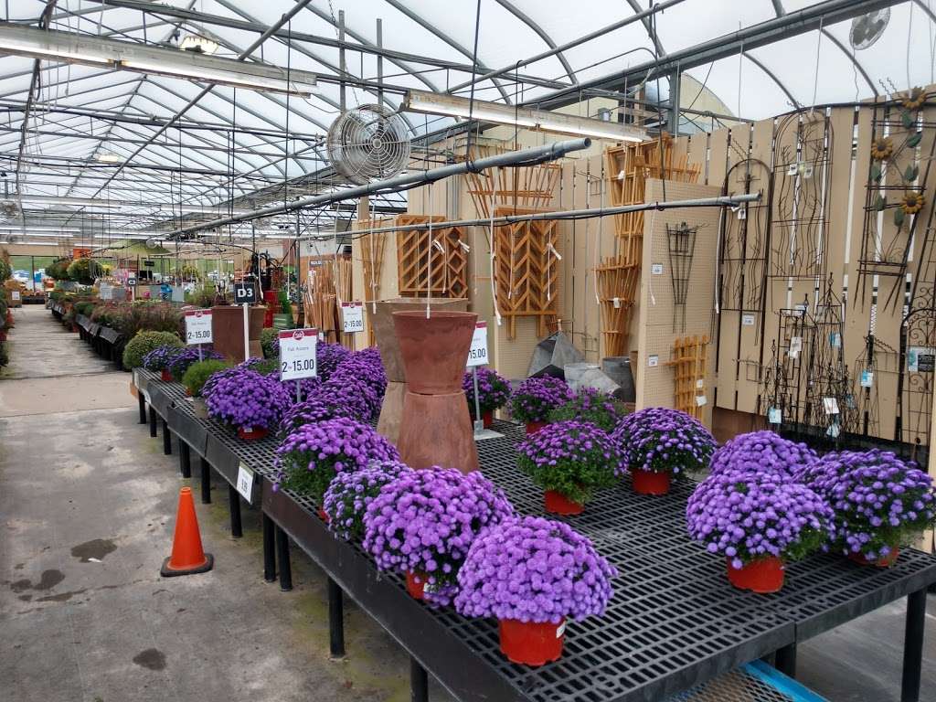 Stauffers of Kissel Hill Home & Garden Store - East York Locatio | 4450 Lincoln Hwy, York, PA 17406 | Phone: (717) 840-4026