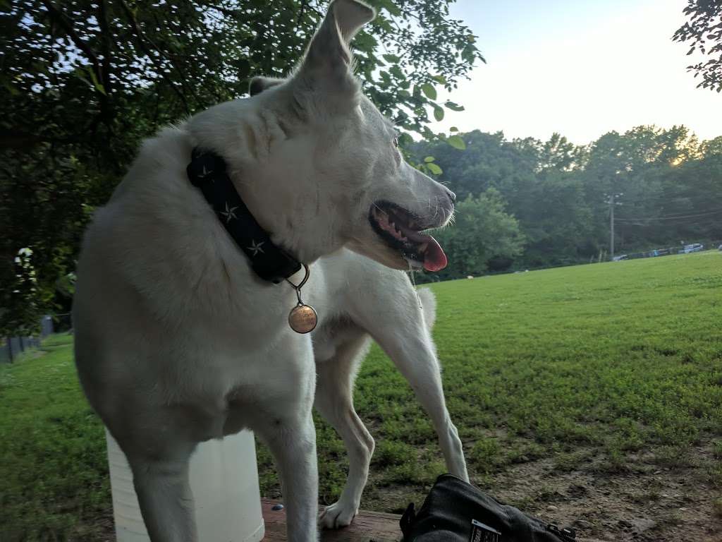 Westgrove Dog Park | 6801 Fort Hunt Rd, Alexandria, VA 22307, USA