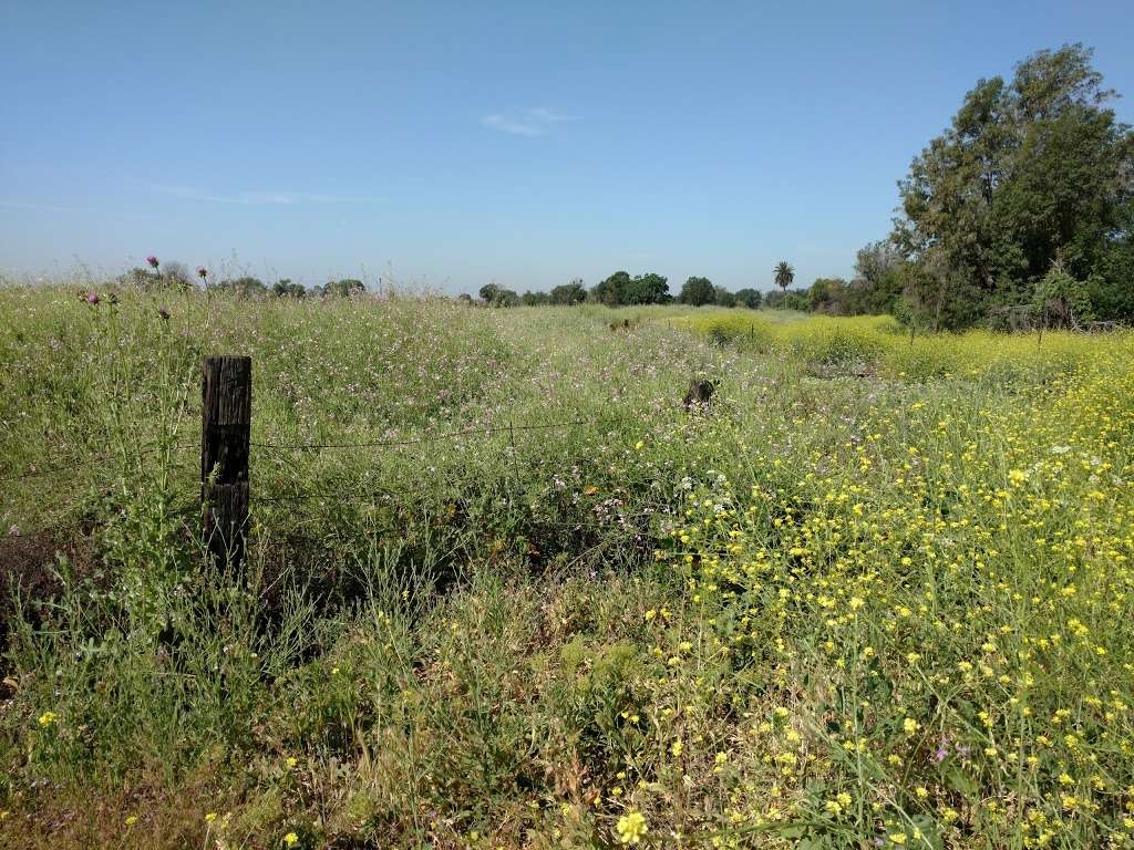 Whittier Narrows Natural Area | Rosemead Boulevard, South El Monte, CA 91733 | Phone: (626) 629-8386