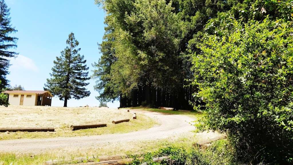 Mt Madonna County Park | 7850 Pole Line Rd, Watsonville, CA 95076, USA | Phone: (408) 842-2341