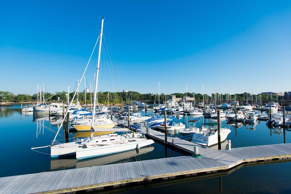 Yacht Haven Marina | A Safe Harbor Marina | 181 Harbor Dr, Stamford, CT 06902, USA | Phone: (203) 359-4500