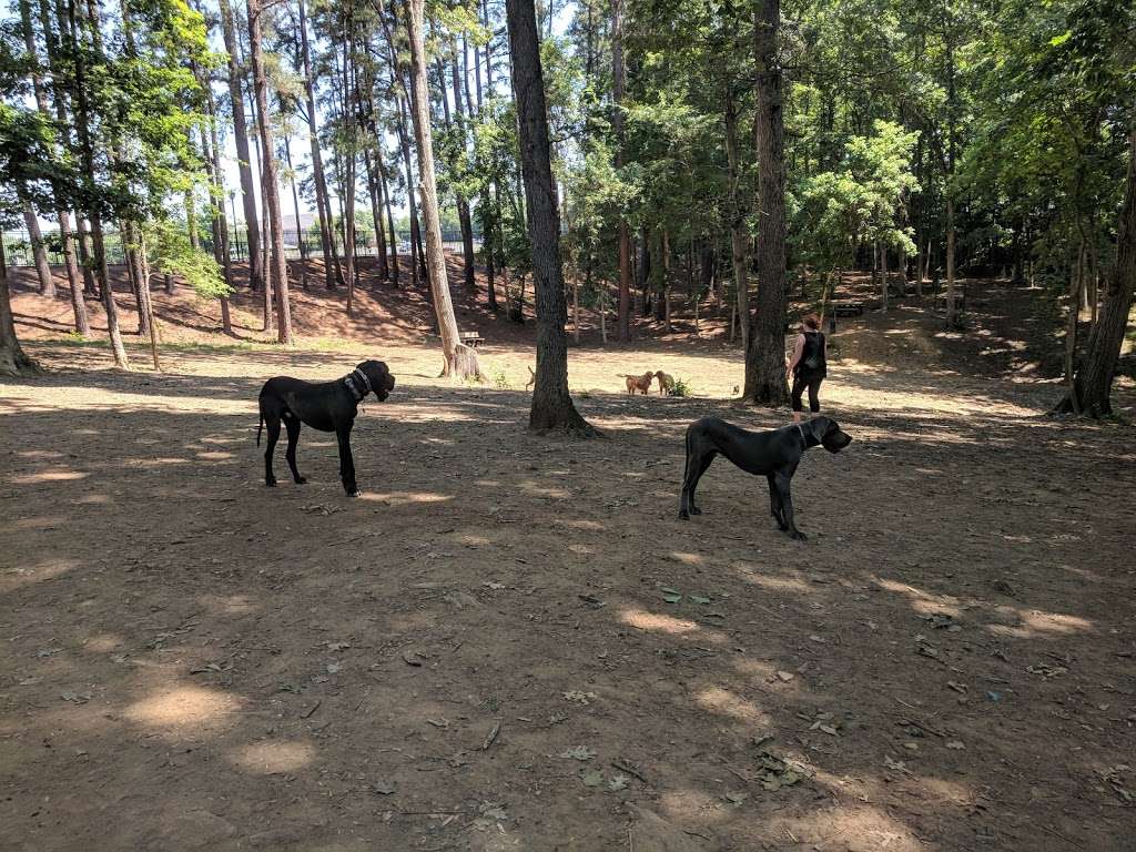 CANINE COMMONS DOG PARK | 181 Country Lake Dr, Pineville, NC 28134, USA | Phone: (704) 889-2400