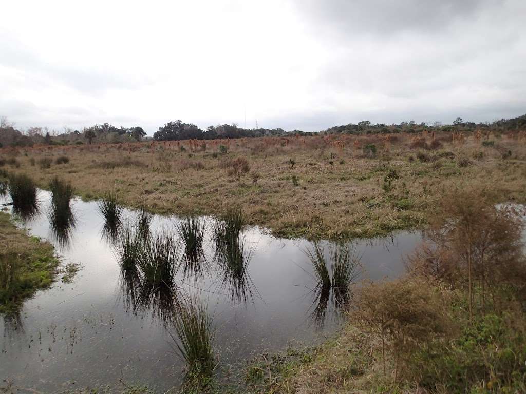 Chuluota Wilderness Area Trailhead Parking | 3693-3773 Curryville Rd, Oviedo, FL 32766, USA | Phone: (407) 349-0959