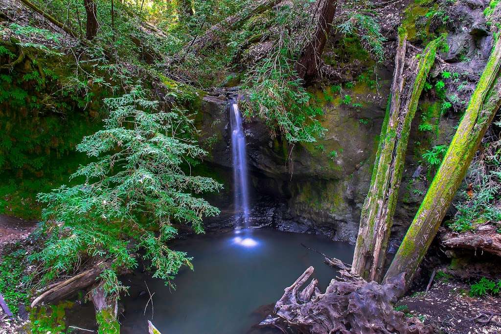 Sempervirens Falls | Sempervirens Falls Trail, Boulder Creek, CA 95006