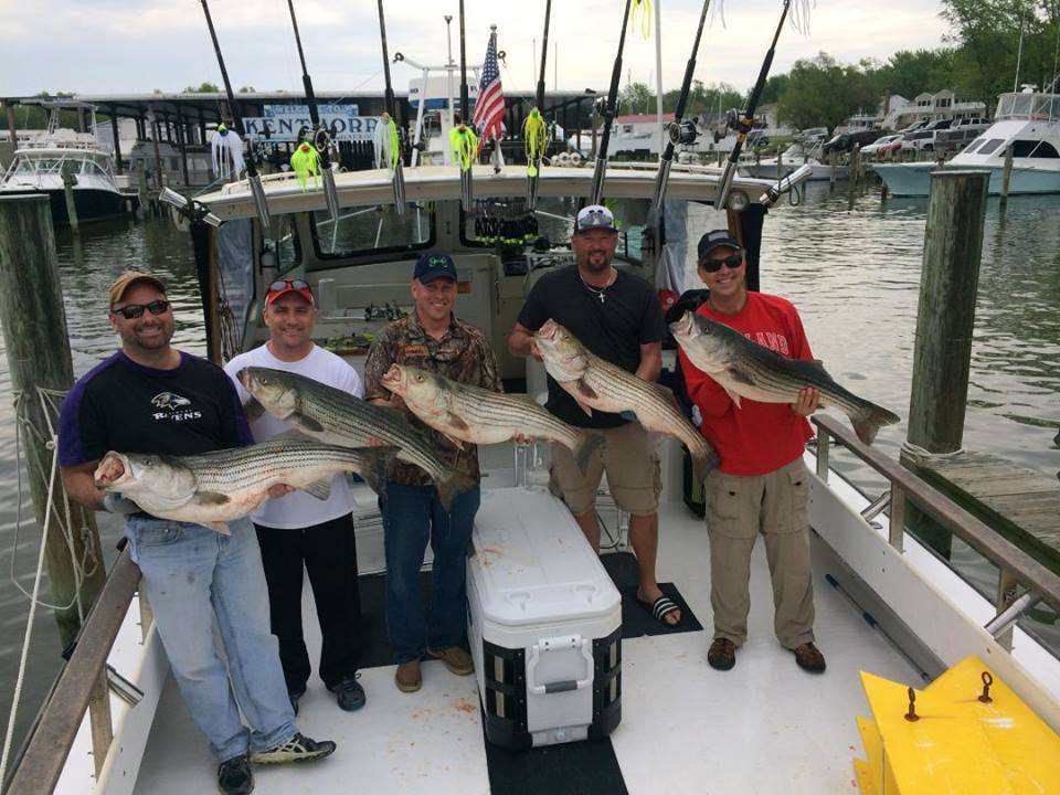 Chasin Tail Charters | 108 Talbot Rd, Stevensville, MD 21666, USA | Phone: (410) 320-6254