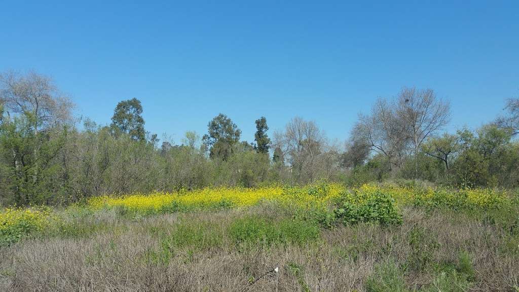 Turtle Rock Preserve and Trail | University Trail, Irvine, CA 92612, USA