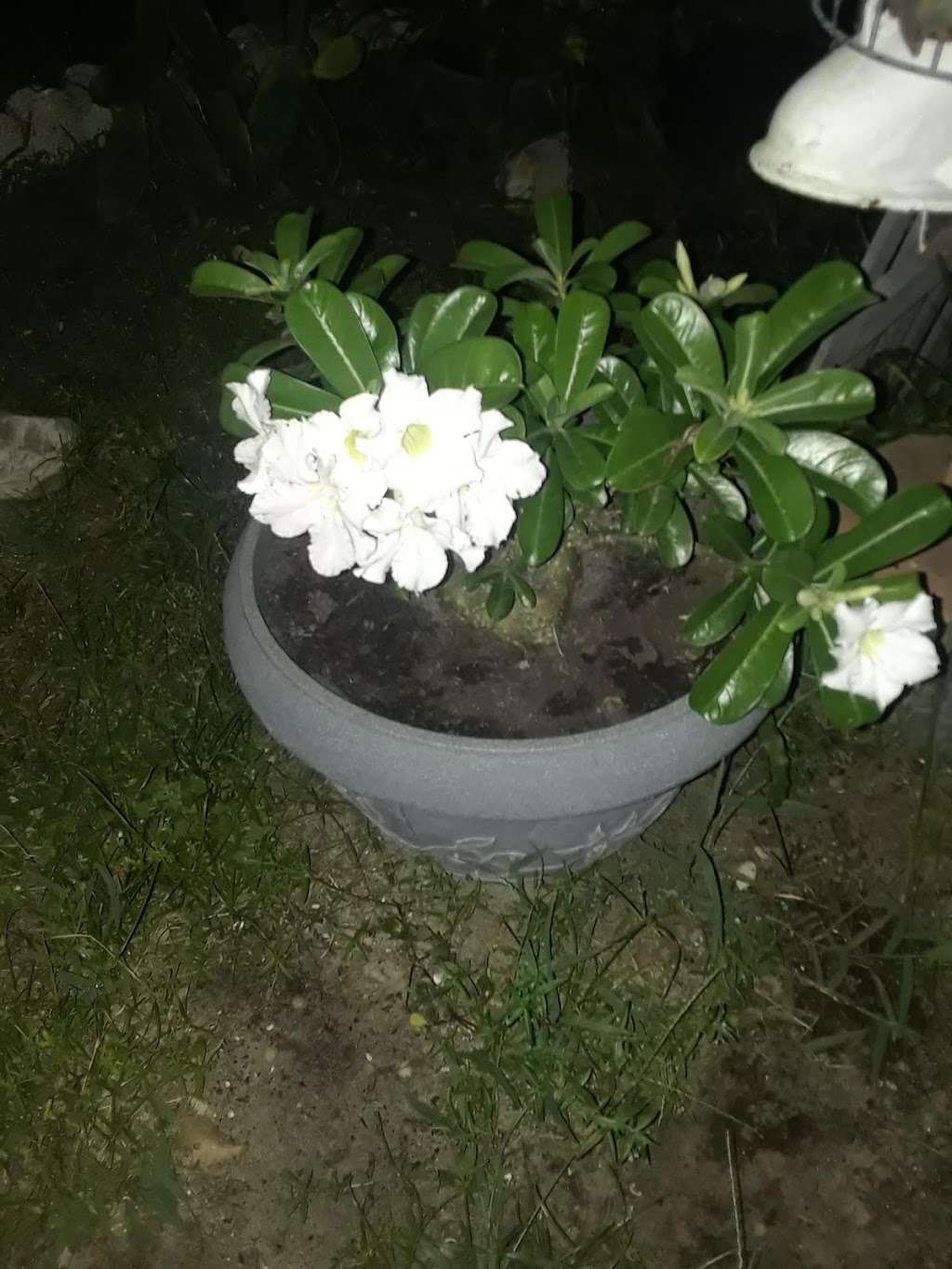 Southernaire | 1700 Sanford Rd, Mt Dora, FL 32757, USA | Phone: (888) 533-6157