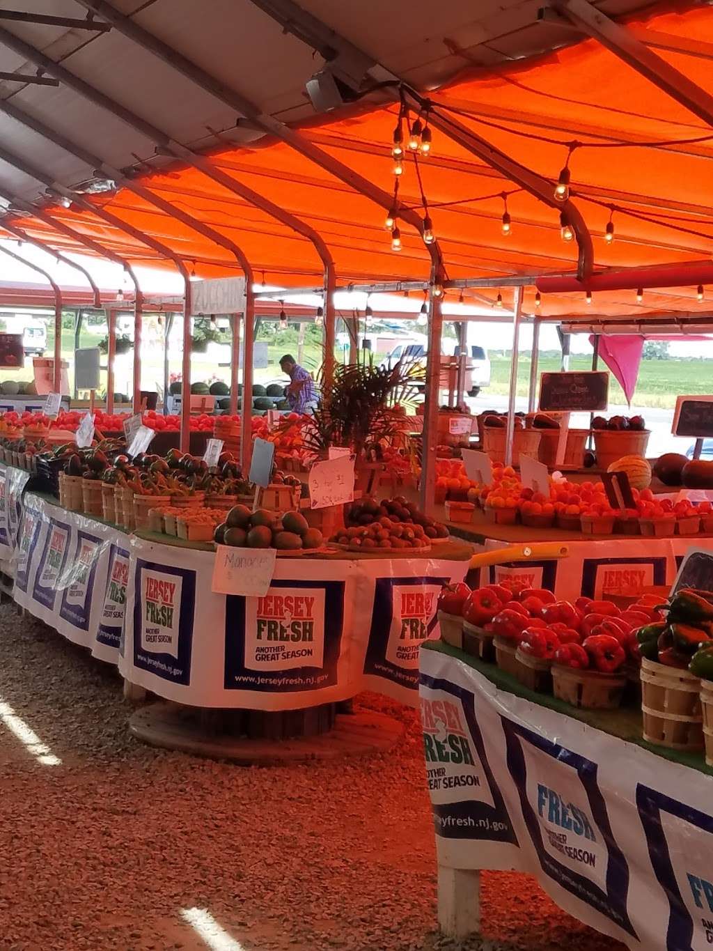 The Corn Stop Farm Market | 2621 US-206, Mt Holly, NJ 08060 | Phone: (609) 227-7863