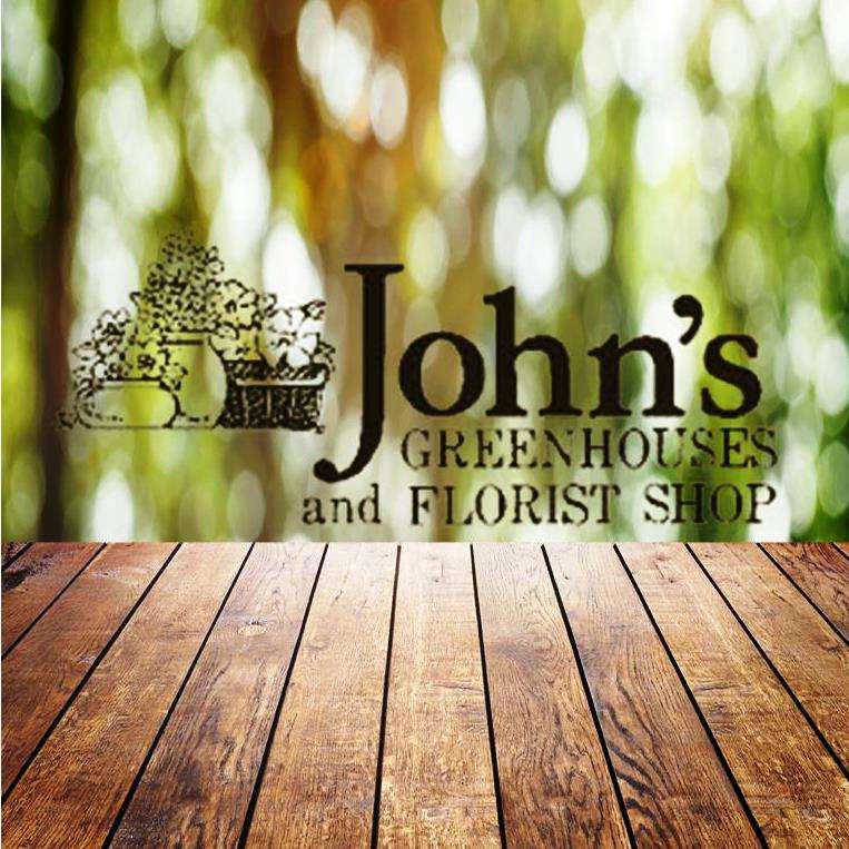 Johns Greenhouses & Florist Shop | 517 Copeland St, Brockton, MA 02301, USA | Phone: (508) 588-0955