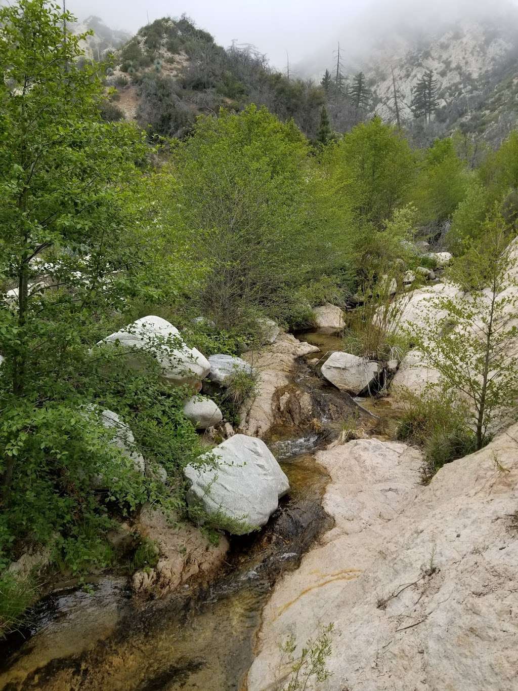 Devils Canyon Trailhead | Angeles Crest Hwy, Palmdale, CA 93550 | Phone: (626) 574-1613