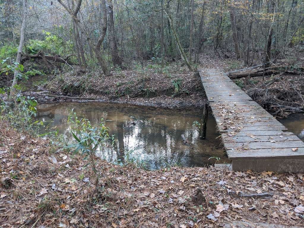 Lone Star Hiking Trail - Trailhead #12 | Unnamed Road, Shepherd, TX 77371, USA