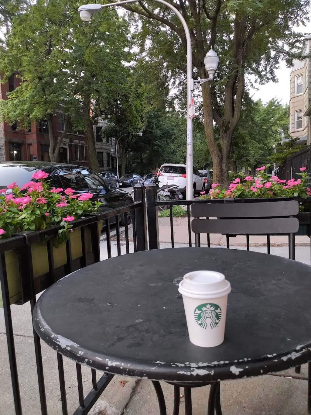 Starbucks | 2101 W Armitage Ave, Chicago, IL 60647, USA | Phone: (773) 486-4771