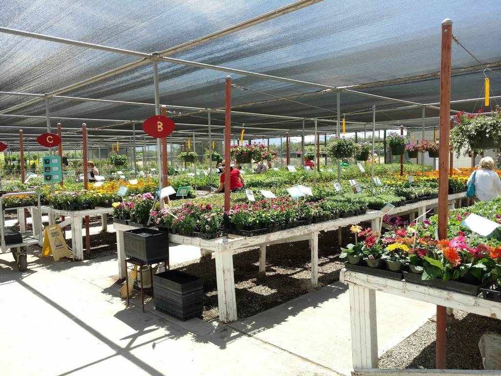 Sierra Vista Growers | 2800 NM-28, Anthony, NM 88021, USA | Phone: (575) 874-2415