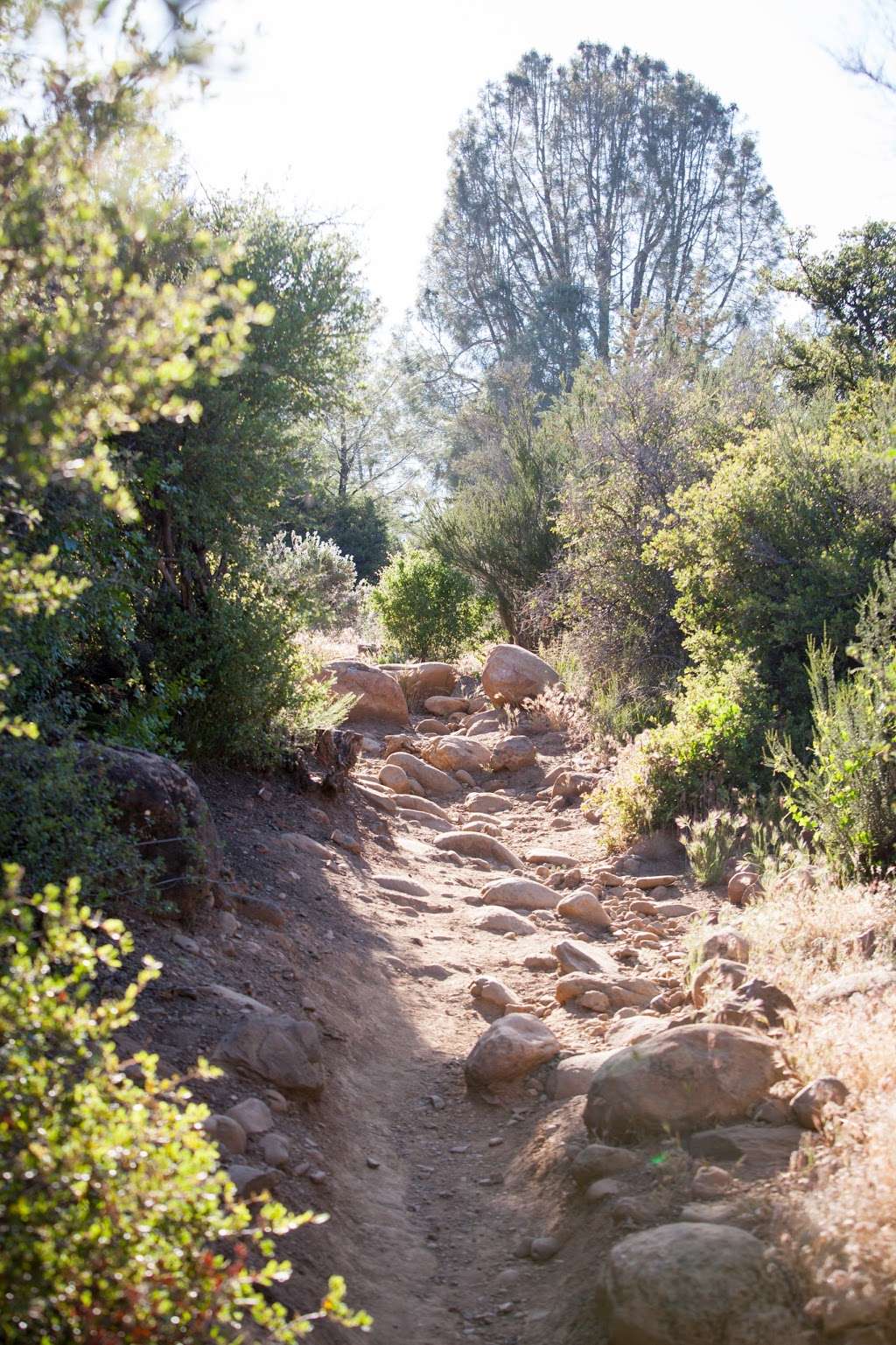 Piedra Blanca Trailhead | Rose Valley Rd, Ojai, CA 93023, USA | Phone: (661) 245-3731