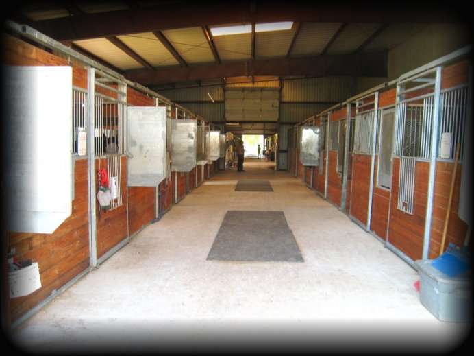 Dawson Equestrian Center | 19510 E Hwy 6, Alvin, TX 77511, USA | Phone: (281) 309-2946