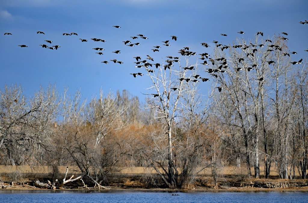 Fossil Creek Reservoir Natural Area | 3340 Carpenter Rd, Fort Collins, CO 80525, USA | Phone: (970) 416-2815