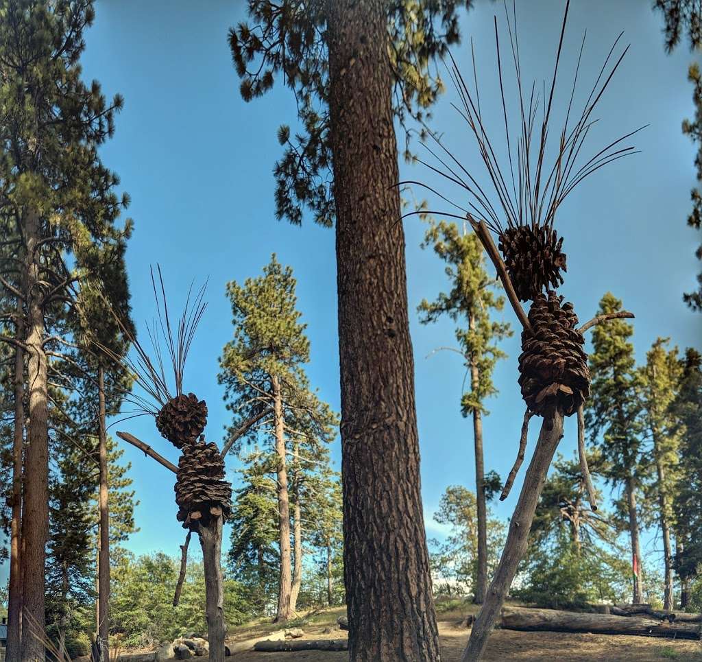 Childrens Forest Trailhead | 20557-20655 Keller Peak Rd, Big Bear, CA 92314, USA | Phone: (951) 413-9325