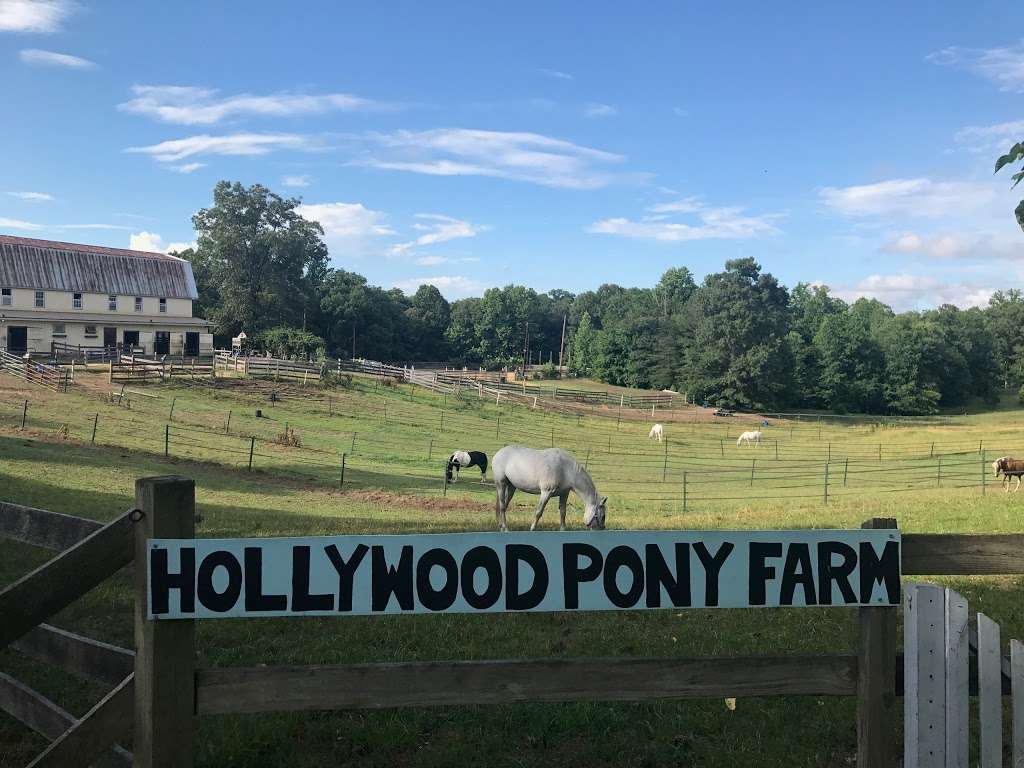 Hollywood Pony Farm | 25050 Peregrine Way, Hollywood, MD 20636, USA | Phone: (240) 298-3248