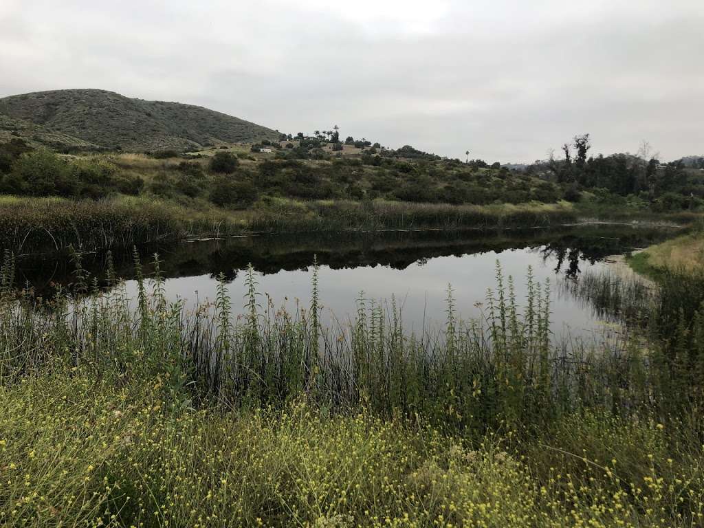 Abeja Loop Trail | Las Posas Rd, San Marcos, CA 92069, USA