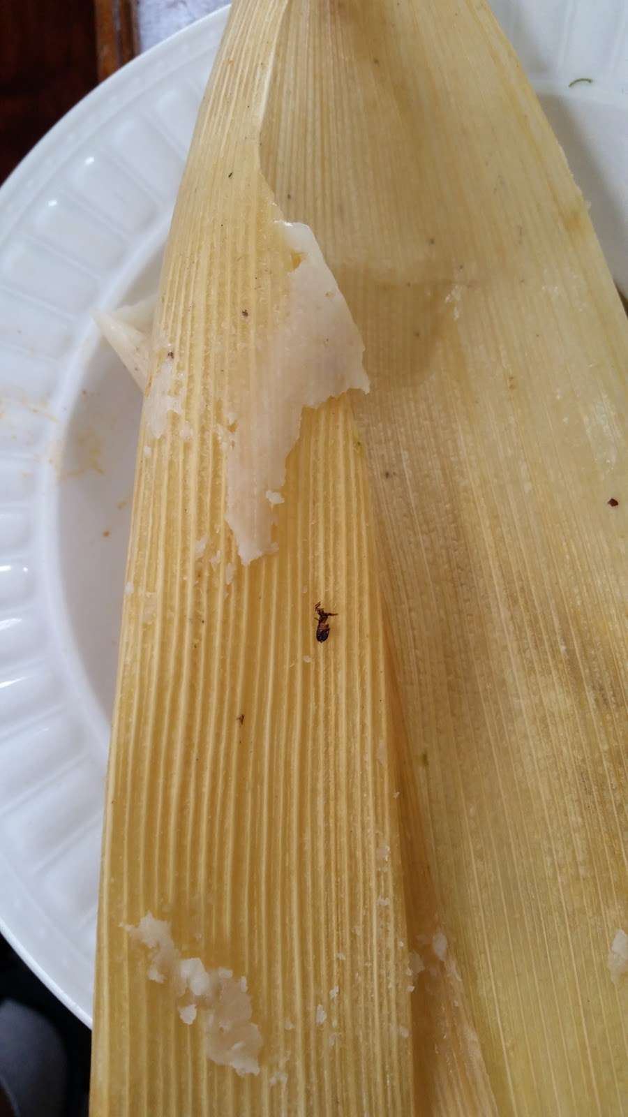 Manolos Tamales | 4706 W 63rd St, Chicago, IL 60629, USA | Phone: (773) 884-8000