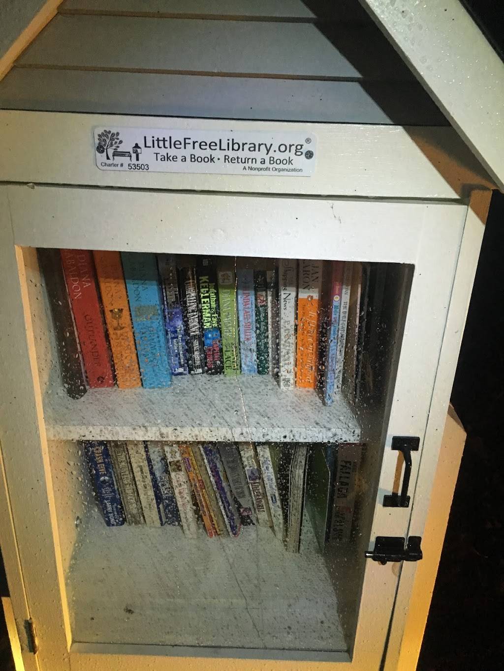 Little Free Library #53503 | 11940 Silbyrd Dr, Midlothian, VA 23113, USA | Phone: (715) 690-2488