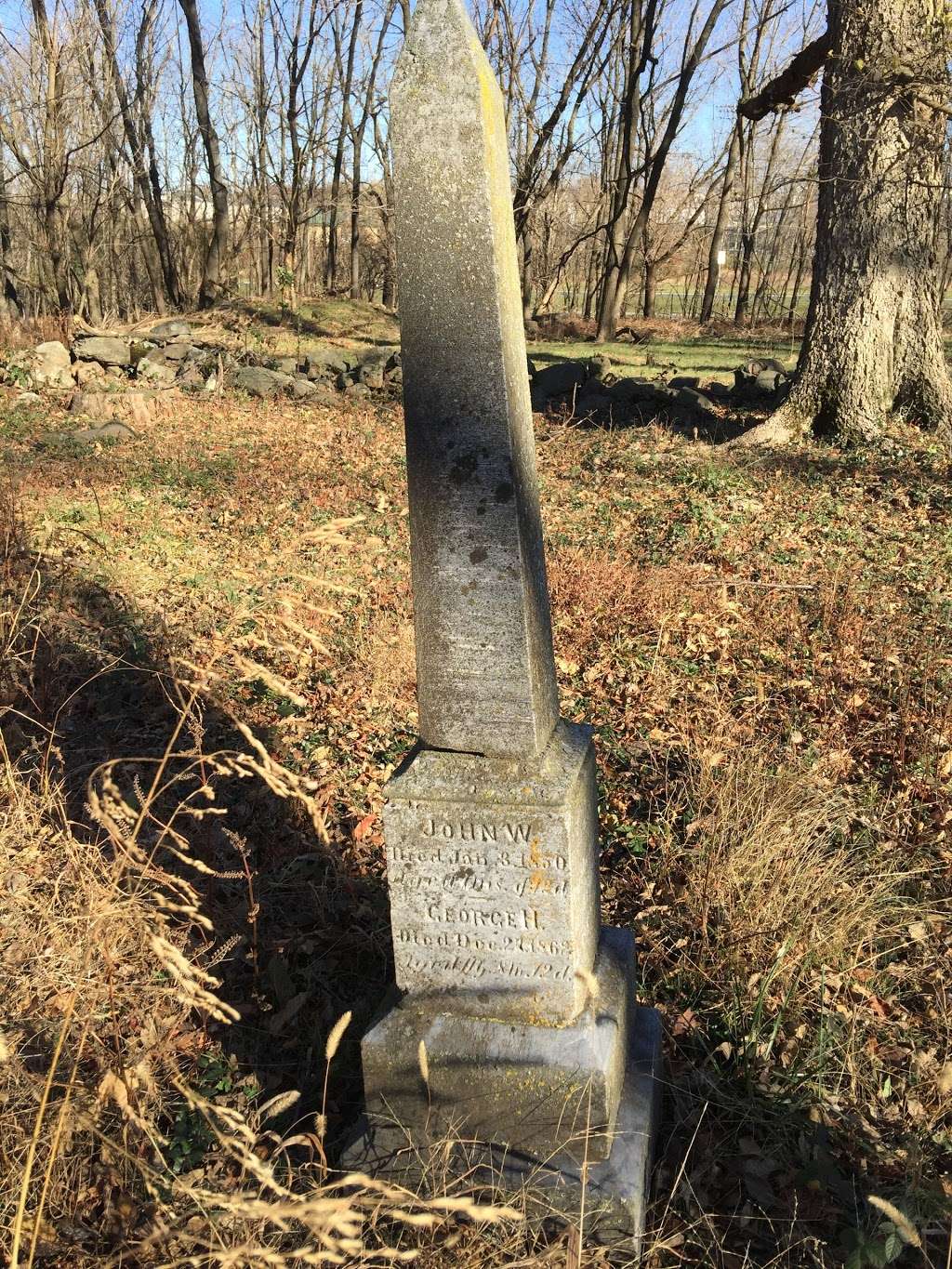 Lyons Family Civil War Era Cemetary | Ashburn, VA 20148, USA