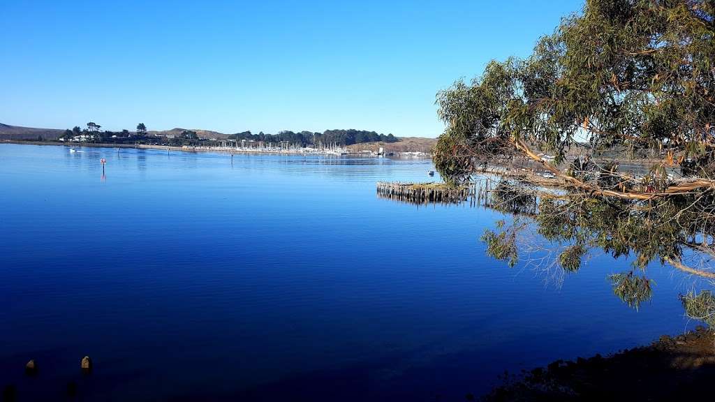 Diekmanns Bay Store | 1275 CA-1, Bodega Bay, CA 94923, USA | Phone: (707) 875-3517