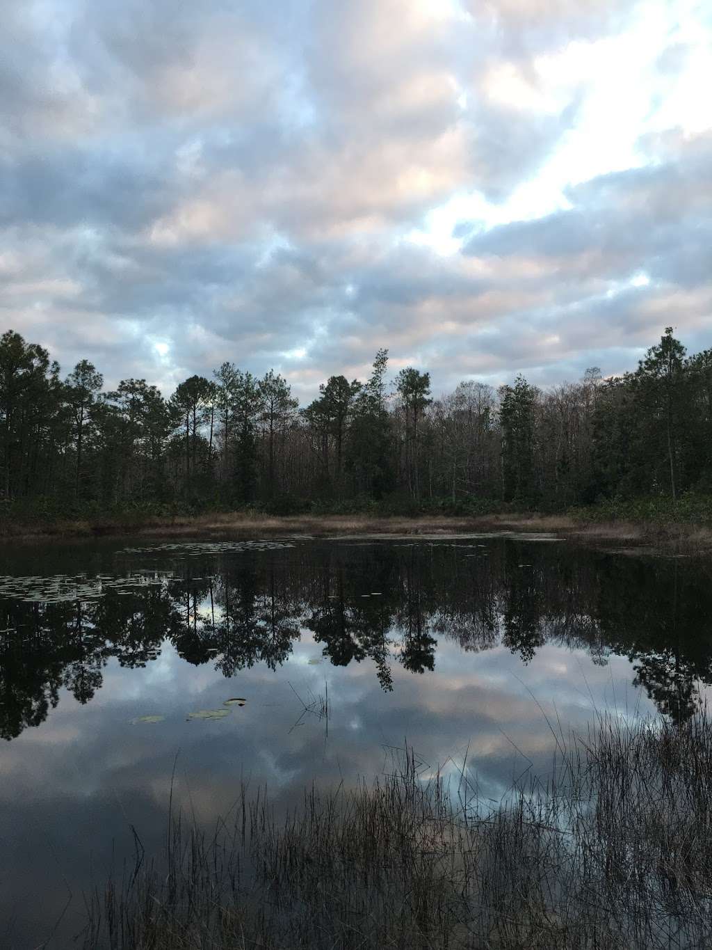 Trailhead for Flagler/Florida Trail | Flagler Trail, Oviedo, FL 32765, USA