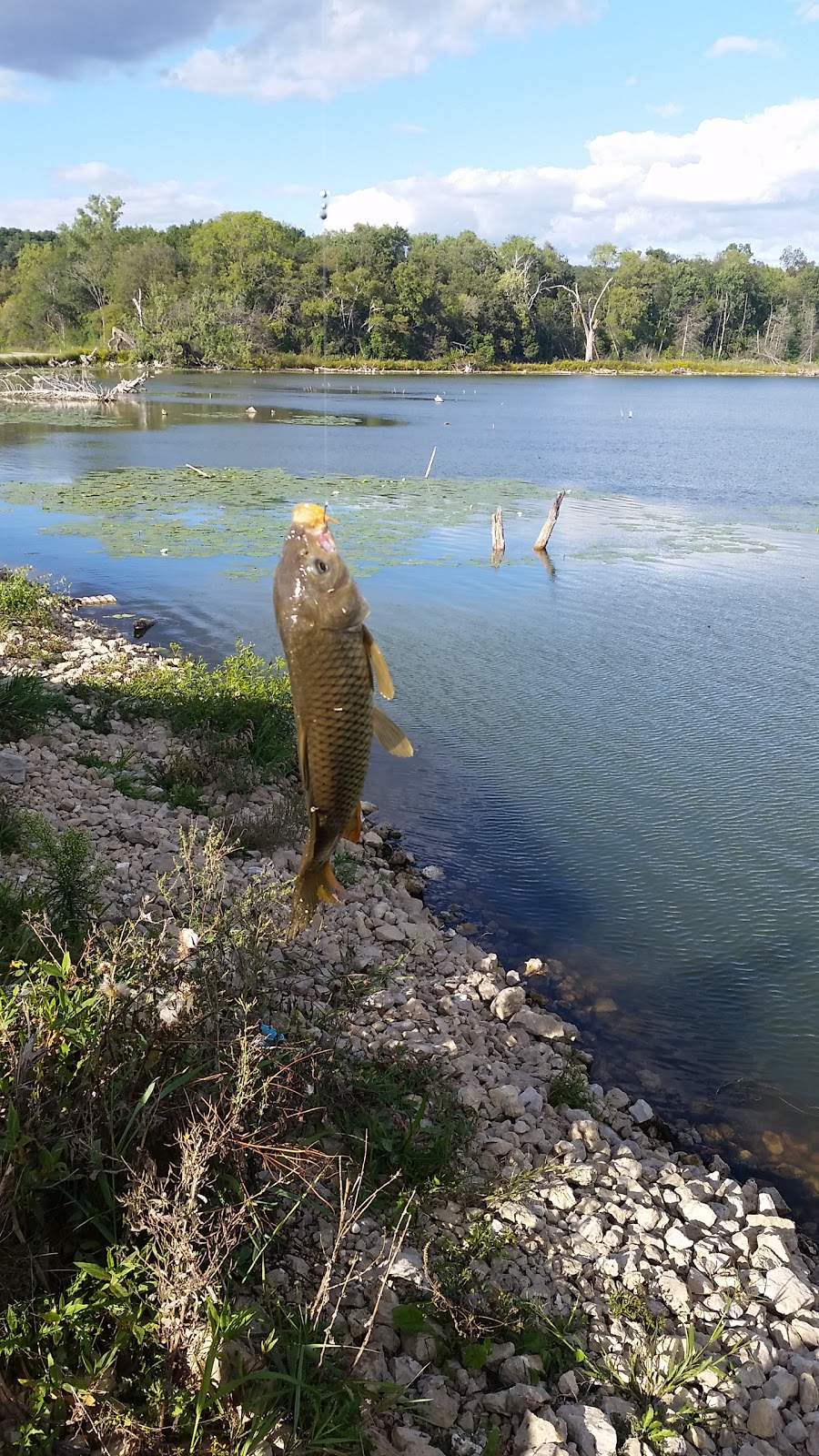 Fish Lake County Park | 7841 Fish Lake Rd, Sauk City, WI 53583, USA | Phone: (608) 224-3730