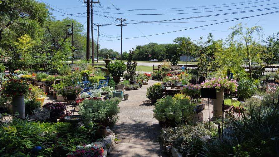 Wilson Landscape and Tree Nursery | 14650 Bandera Rd, Helotes, TX 78023, USA | Phone: (210) 695-2703