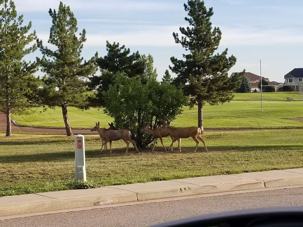 Christensen Meadows Park | 9701 W Columbine Dr, Littleton, CO 80128, USA