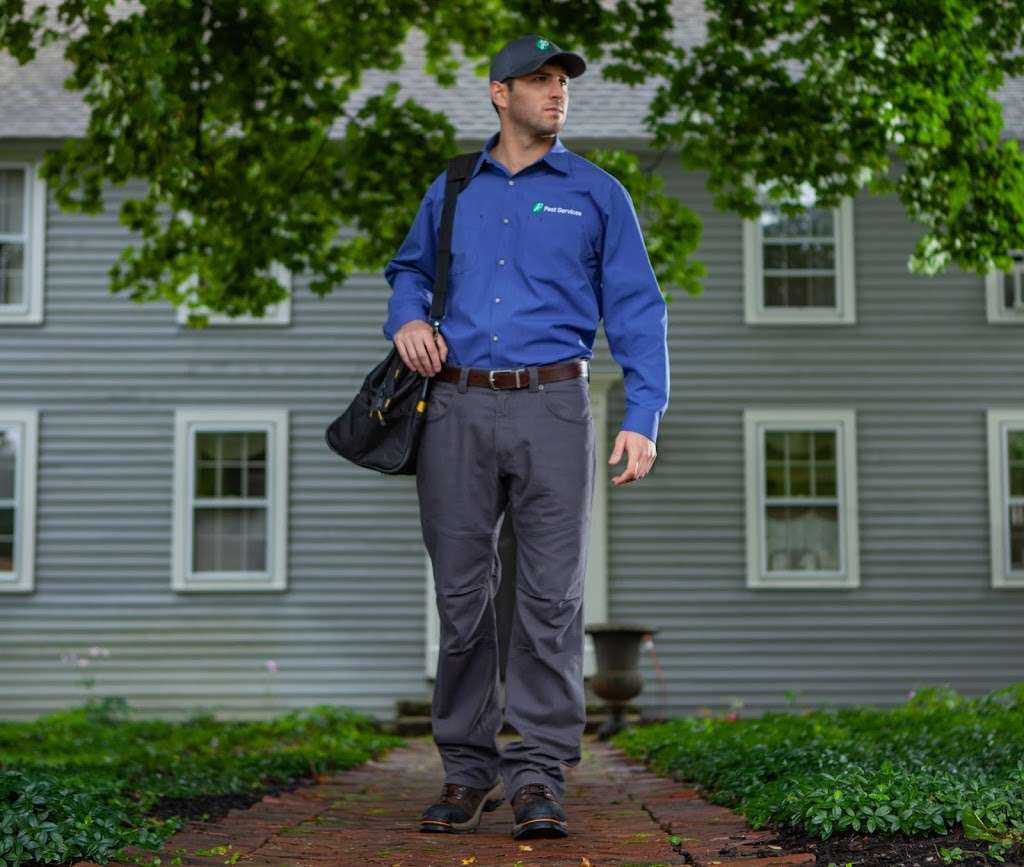 JP Pest Services | 41 Brigham St #16, Marlborough, MA 01752, USA | Phone: (508) 485-7459